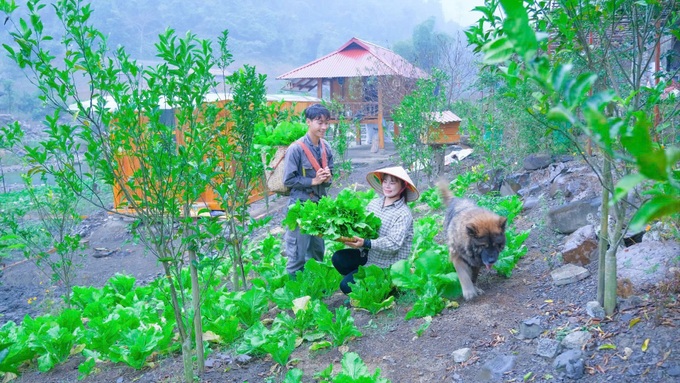 Picturesque farm brings billions in revenue to a young Muong entrepreneur - 11