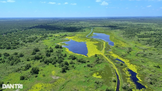 U Minh Thuong National Park on high fire alert during dry season - 1