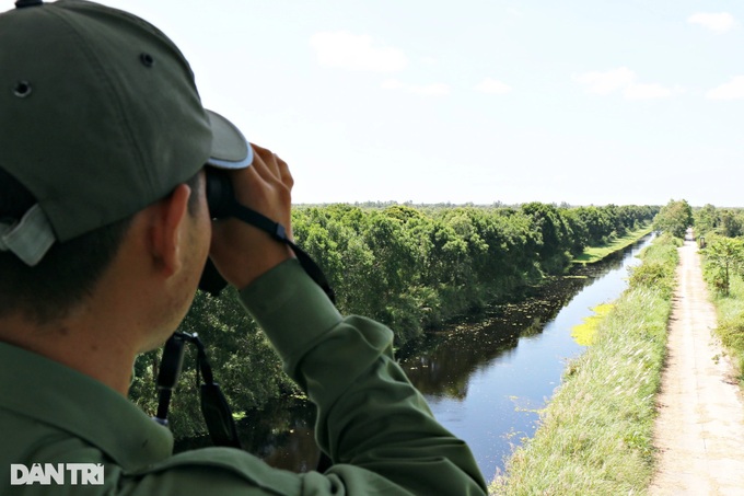 U Minh Thuong National Park on high fire alert during dry season - 8