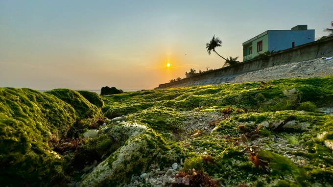 Beauty of Ly Son Island’s moss-covered rocks - 5