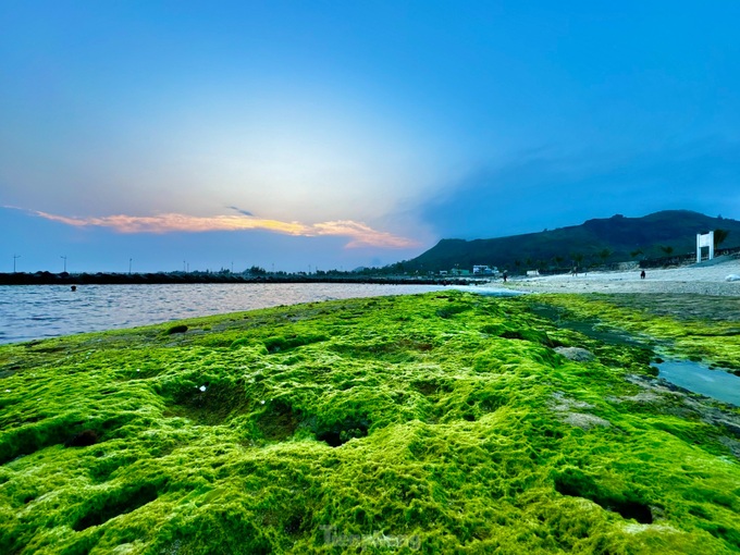 Beauty of Ly Son Island’s moss-covered rocks - 3