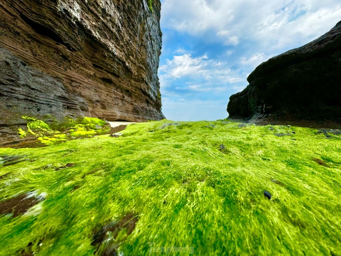 Beauty of Ly Son Island’s moss-covered rocks - 6