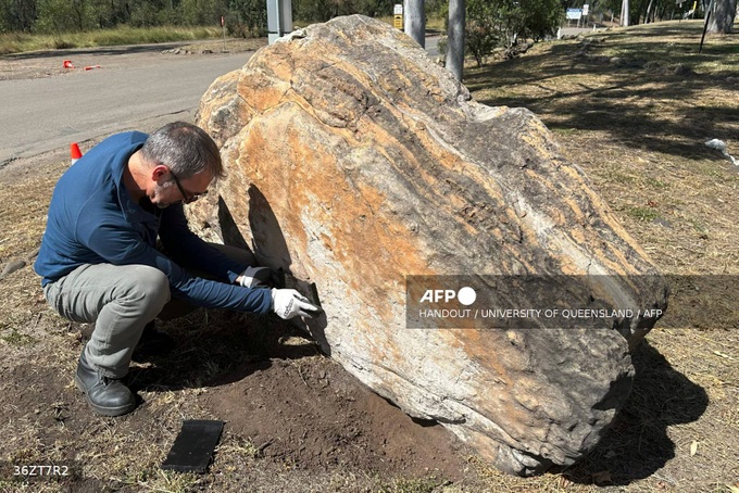 Trove of dinosaur footprints found at Australian school - 1