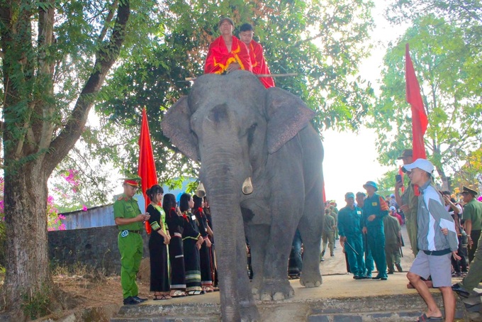 Health blessing ceremony for elephants in Dak Lak - 6