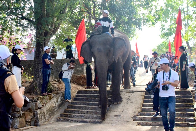 Health blessing ceremony for elephants in Dak Lak - 7