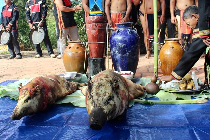 Health blessing ceremony for elephants in Dak Lak - 3