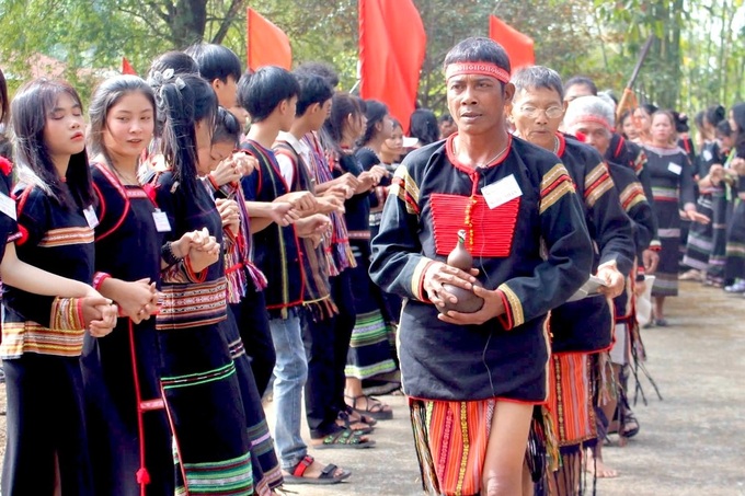 Health blessing ceremony for elephants in Dak Lak - 4