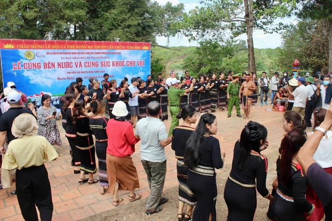 Health blessing ceremony for elephants in Dak Lak - 8