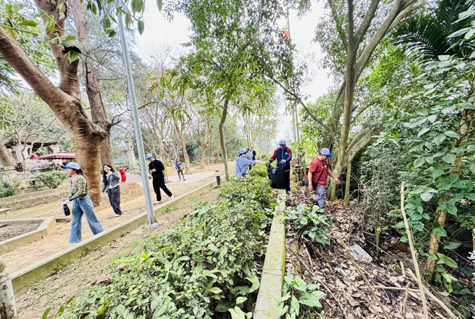 Travel companies join locals to collect waste in Duong Lam Ancient Village - 3