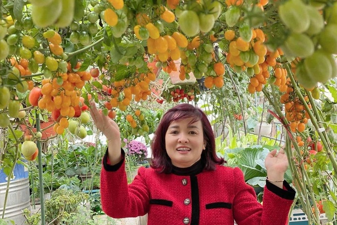 Hanoi woman's budget-friendly rooftop garden surprises visitors - 2