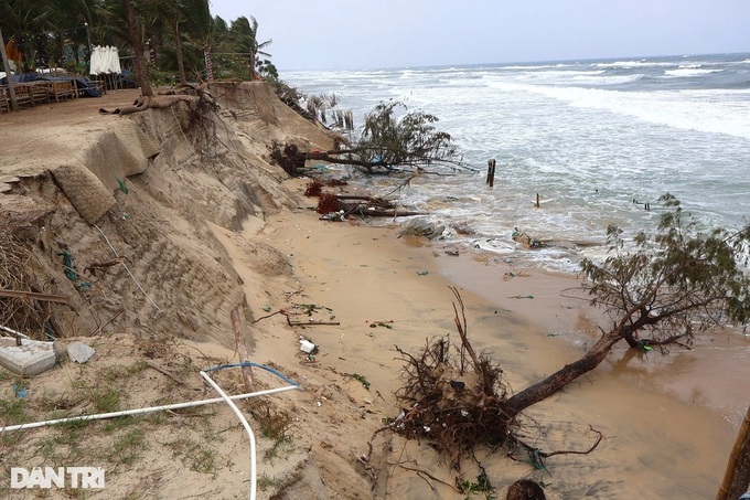 Work starts on Hoi An coastal erosion prevention project - 1