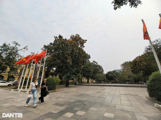 Hanoi to spend VND182 billion on Ly Thai To Flower Garden renovation - 1