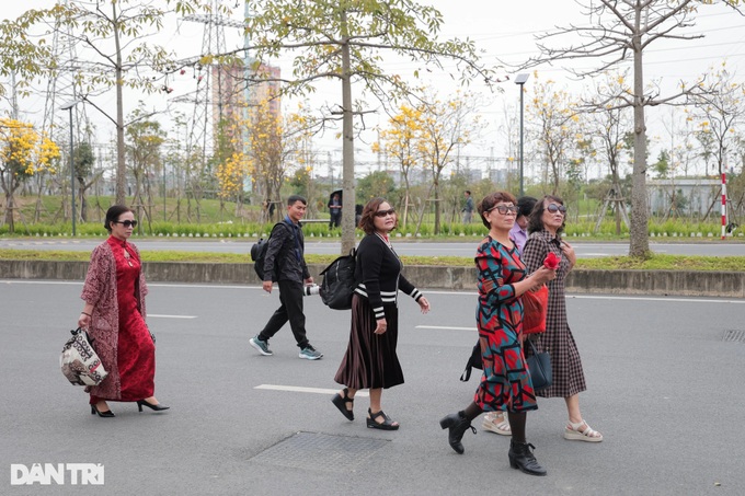 Hanoi trumpet flower road draws visitors - 4