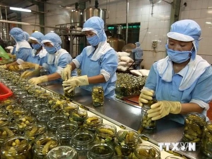 Vietnam's small business growth soars to a four-year high - 1