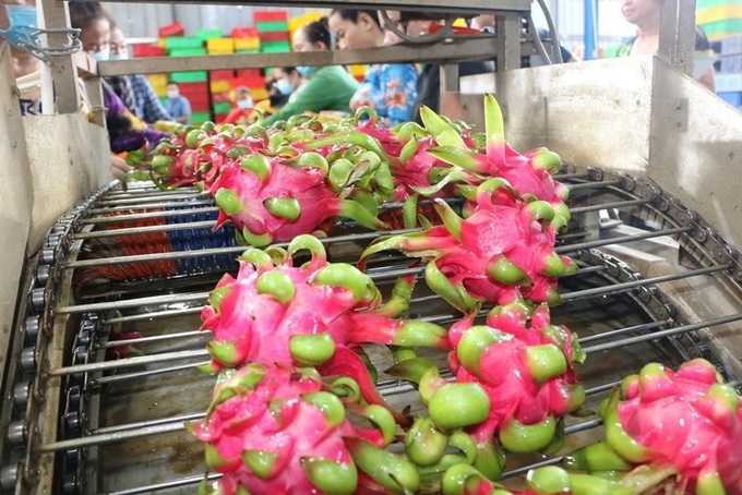 Overseas Vietnamese help Vietnamese products go global - 1 Overseas Vietnamese help Vietnamese products go global - 1