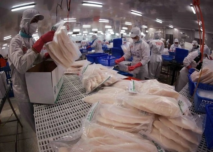Cat fish exports on track reach close to 2 billion USD in 2025 - 1 Cat fish exports on track reach close to 2 billion USD in 2025 - 1