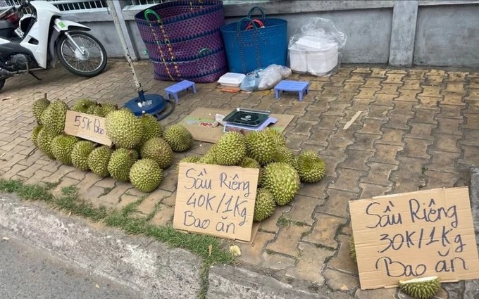Mekong Delta farmers forced into roadside selling as durian prices plunge - 1 Mekong Delta farmers forced into roadside selling as durian prices plunge - 1