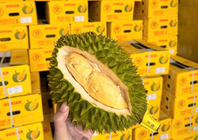 Vietnam’s durian exports to China plunge sharply - 1 Vietnam’s durian exports to China plunge sharply - 1