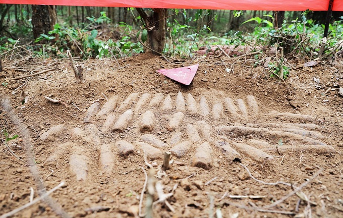 Large cache of unexploded ordnance discovered in Quang Tri - 1 Large cache of unexploded ordnance discovered in Quang Tri - 1