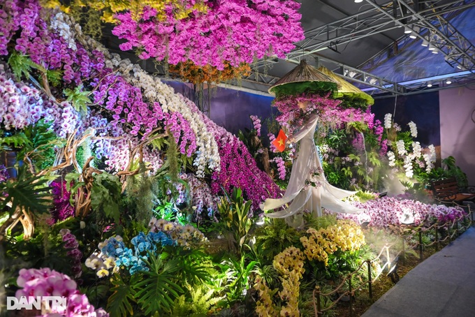 Over 39,000 orchid displays showcased at Ho Chi Minh City flower festival - 3 Over 39,000 orchid displays showcased at Ho Chi Minh City flower festival - 3