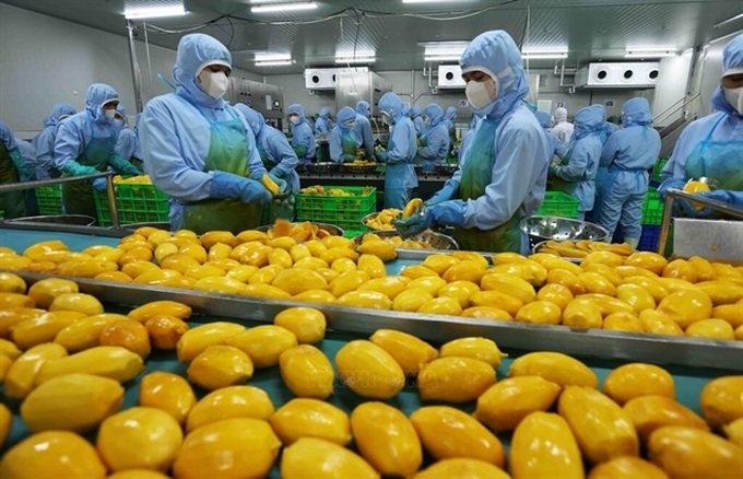Vietnamese exporters cautiously optimistic, prepare for US tariff impacts - 1 Vietnamese exporters cautiously optimistic, prepare for US tariff impacts - 1