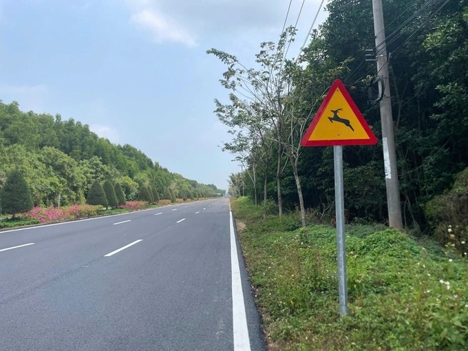 Drivers urged to slow down on Rung Sac Road as deer sighted frequently - 2 Drivers urged to slow down on Rung Sac Road as deer sighted frequently - 2