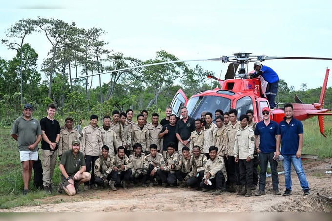 Rare wild cattle herded in Cambodia by helicopter - 2 Rare wild cattle herded in Cambodia by helicopter - 2