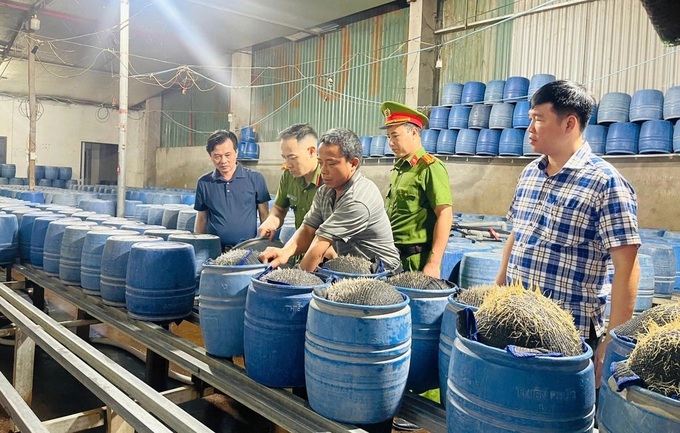 Two toxic bean sprout producers exposed in Lao Cai - 1 Two toxic bean sprout producers exposed in Lao Cai - 1