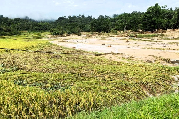 Devastation after flash flood ravages remote village in Nghe An - 4 Devastation after flash flood ravages remote village in Nghe An - 4