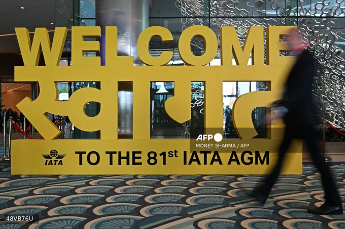 Airlines less optimistic for 2025, facing 'headwinds': IATA - 1