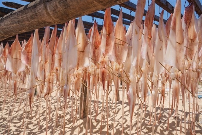 Locally cooked sun-dried squid is one of the top tastes in the world - 2 Locally cooked sun-dried squid is one of the top tastes in the world - 2