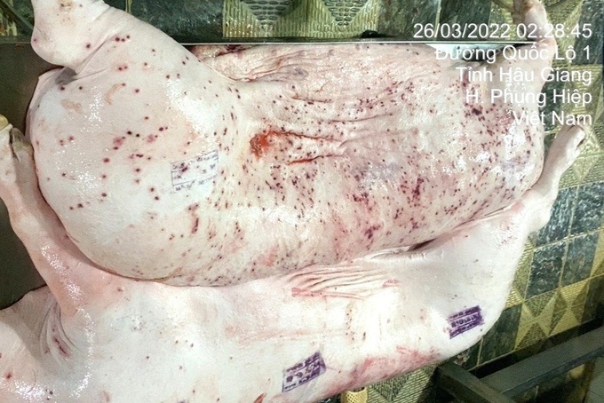 CP Vietnam pork products sales suspended amid contamination allegations - 1 CP Vietnam pork products sales suspended amid contamination allegations - 1