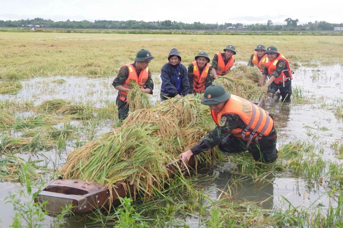 Central Vietnam farmers suffer heavy losses from unusual floods - 5 Central Vietnam farmers suffer heavy losses from unusual floods - 5