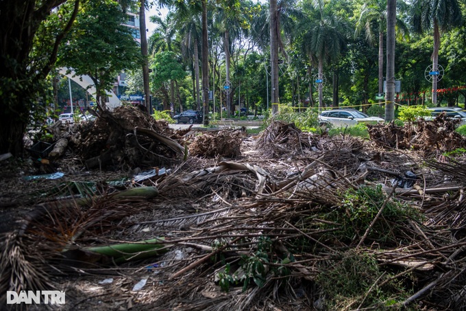 Neglected Hanoi park falls into disrepair - 1