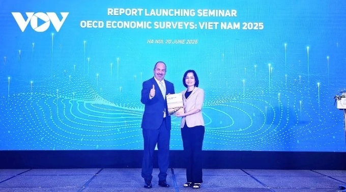 OECD outlines reform roadmap in 2025 Vietnam economic survey - 2 OECD outlines reform roadmap in 2025 Vietnam economic survey - 2
