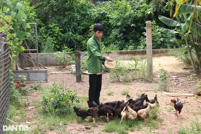 Poor family in Quang Binh seeks help as father, daughter battle illness - 3 Poor family in Quang Binh seeks help as father, daughter battle illness - 3