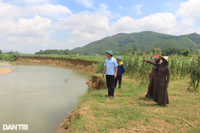 Thanh Hoa residents fear losing farmland to riverbank erosion - 1 Thanh Hoa residents fear losing farmland to riverbank erosion - 1