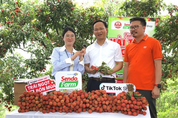 Bac Ninh official sells 54 tonnes of lychees in marathon livestream - 1