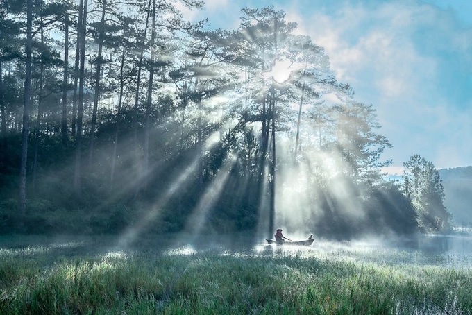 HCM City doctor wins global photography award - 3 HCM City doctor wins global photography award - 3