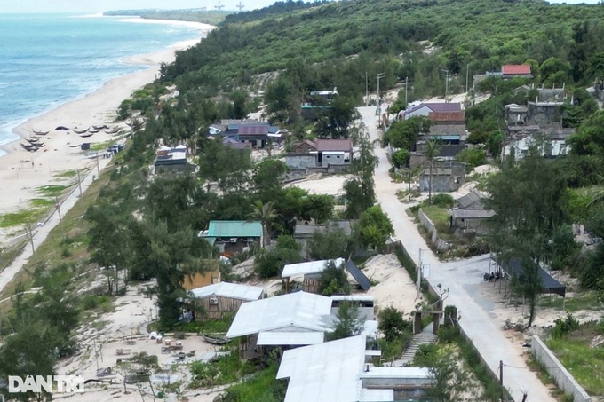 2.5 hectares of coastal protective forest illegally cleared in Hue - 1 2.5 hectares of coastal protective forest illegally cleared in Hue - 1