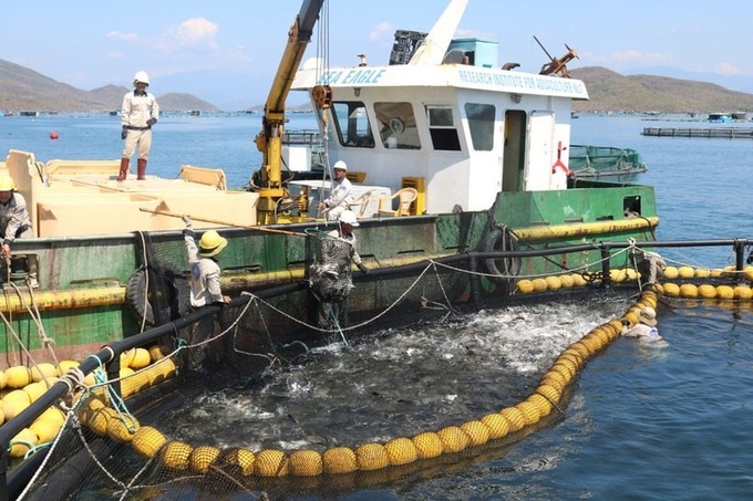 Vietnam pivots to green aquaculture to draw global seafood buyers - 1 Vietnam pivots to green aquaculture to draw global seafood buyers - 1
