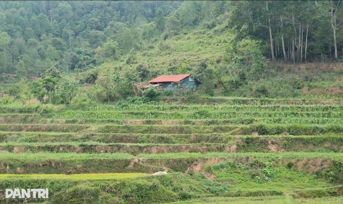 Elderly disabled woman lives alone in Lang Son remote forest, seeks help - 2