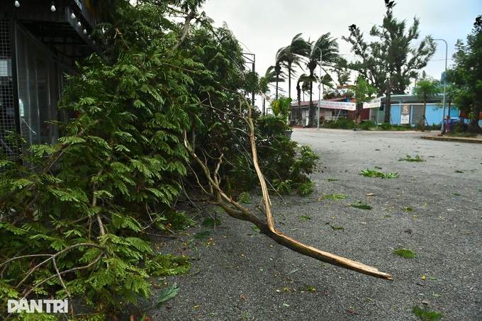 Typhoon Wipha makes landfall between Hung Yen and Ninh Binh - 3 Typhoon Wipha makes landfall between Hung Yen and Ninh Binh - 3