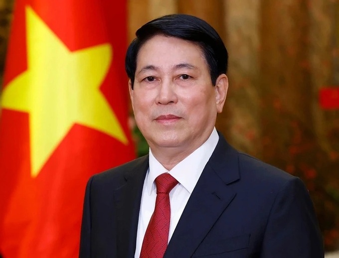 President Luong Cuong to pay state visits to Egypt and Angola - 1