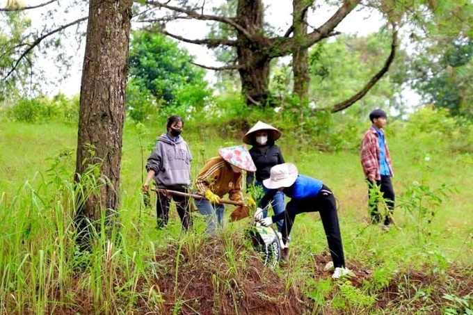Lam Dong plants over 5,000 trees along border road with Cambodia - 2 Lam Dong plants over 5,000 trees along border road with Cambodia - 2