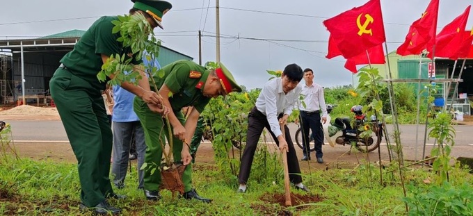 Lam Dong plants over 5,000 trees along border road with Cambodia - 1 Lam Dong plants over 5,000 trees along border road with Cambodia - 1
