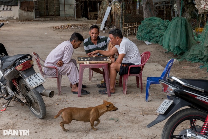Tranquil life endures in Hai Chu coastal village - 6 Tranquil life endures in Hai Chu coastal village - 6