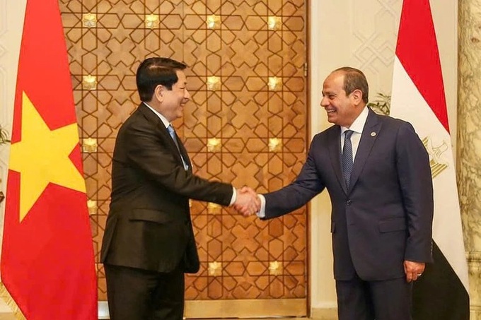 Vietnam and Egypt elevate bilateral relations to Comprehensive Partnership - 1