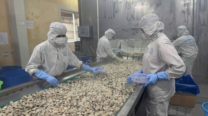 Vietnam records USD 10.18 billion trade surplus in seven months - 1