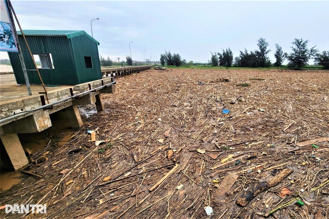 Nearly 700 tonnes of rubbish engulf Ha Tinh fishing port after floods - 4